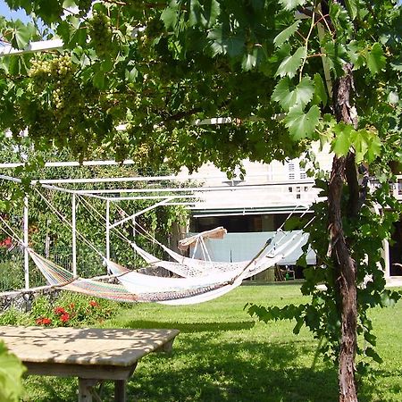 Guest House Darinka Draga Bašćanska Extérieur photo