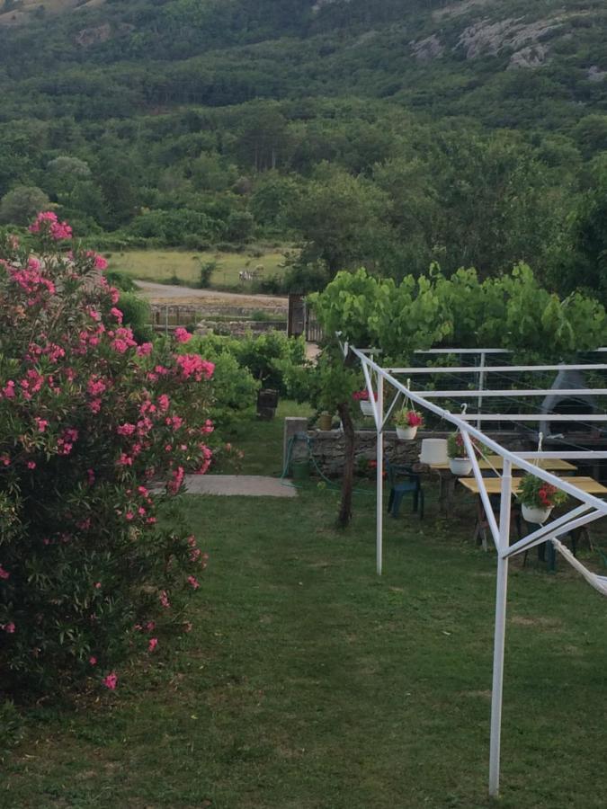 Guest House Darinka Draga Bašćanska Extérieur photo
