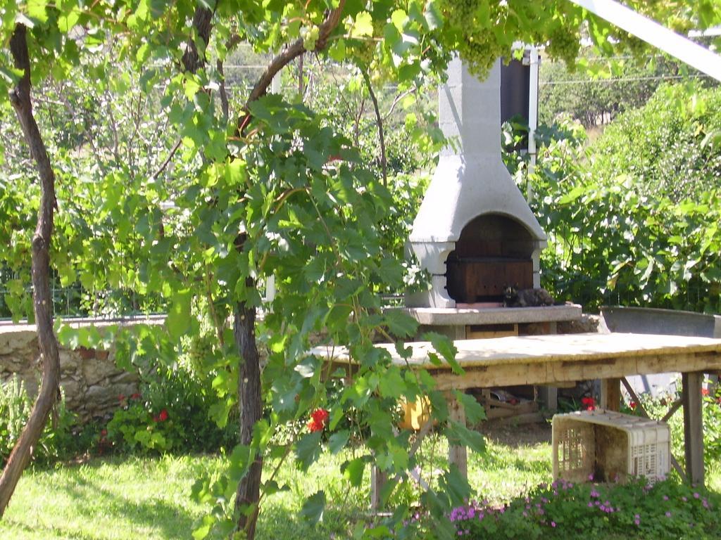 Guest House Darinka Draga Bašćanska Extérieur photo