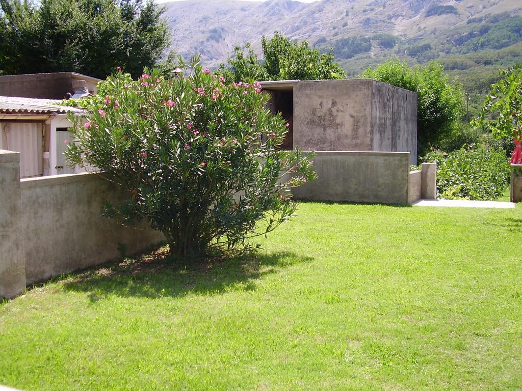 Guest House Darinka Draga Bašćanska Extérieur photo